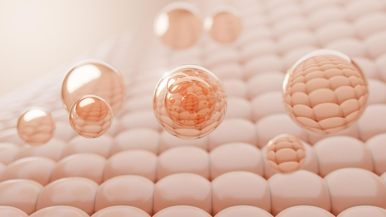 Retinol in organism