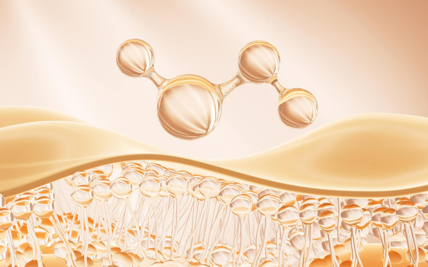 Vitamina c si colagen